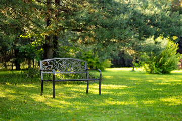 Fototapeta premium Empty metal bench stands under trees in a peaceful green garden on a sunny summer day. Quiet shaded seating area creates a relaxing outdoor atmosphere.