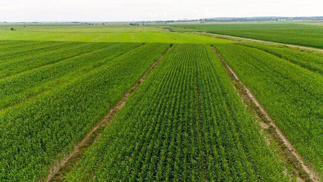Farmland in New Brunswick, Canada. 