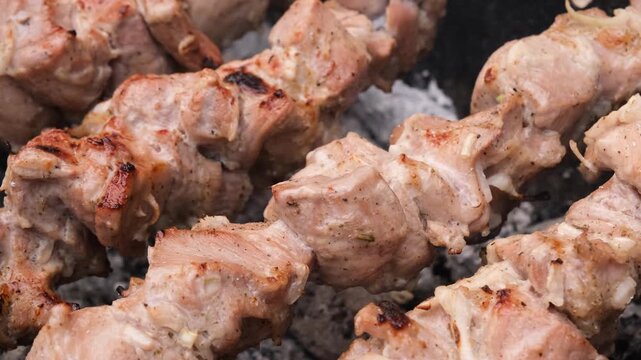Juicy pork shashlik browning on metal skewers above hot charcoal, capturing traditional outdoor barbecue cooking with smoky flavor, golden crust, and tender grilled meat