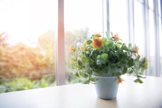 Potted Flowering Plant on Table by Bright Window in Cozy Home Interior