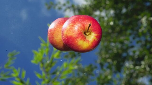 Red apple on reflective surface with blue sky and green leaves