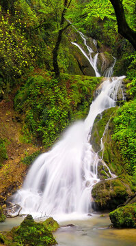 Small cascading waterfall in a deep green forest with landscape photography water feature waterfall cascading