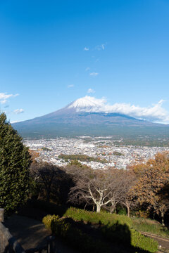 A scenic panoramic view of snow-capped Mount Fuji overlooking Fujinomiya city from Shirao Mountain Park (Shiraosan) on a sunny December afternoon. Vertical shot.