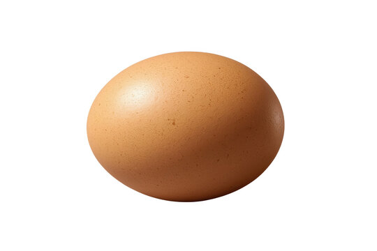 Large tan brown egg with matte natural shell texture