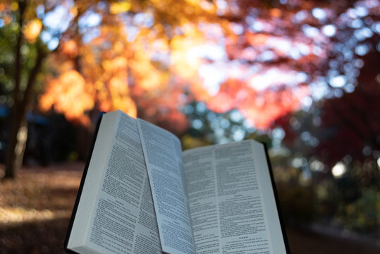 An open Holy Bible with scripture pages against a soft bokeh and bright autumn foliage background at Shirao Mountain Park, Fujinomiya, Japan.
