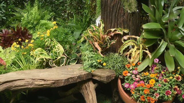 Decorating the garden with foliage and flowering plants.