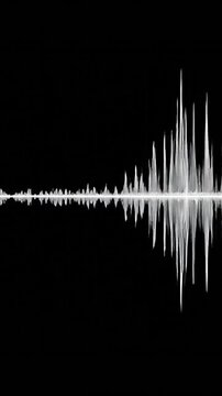 A digital audio waveform graphic visualization on a pure black background