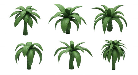 Fototapeta premium 3d rendered images of various palm trees isolated on a white background illustration and design elements