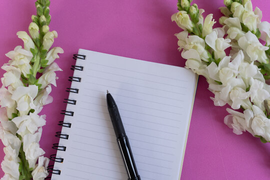 White flowers frame a lined notebook and black pen. Pink background adds cheerful contrast to the setup. Stillness suggests quiet planning or journaling moments. Perfect for creative work, notes