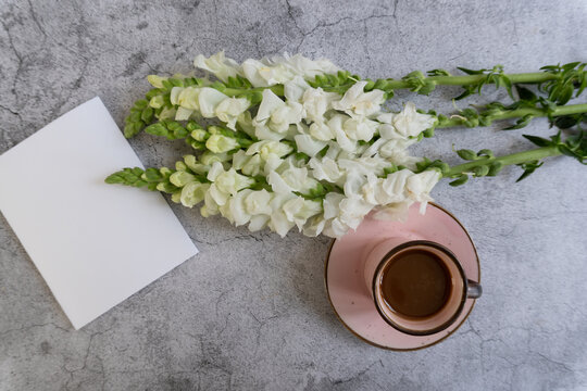 White snapdragons rest beside a pink cup and saucer. Blank card lies nearby, inviting personal messages. Ceramic cup holds warm, dark coffee.