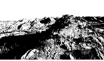 Obraz premium Rocky terrain landscape silhouette vector illustration for nature and geology design