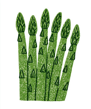 hand drawn crayon illustration