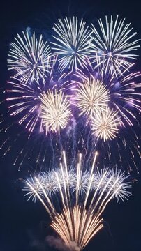 Bright colorful fireworks exploding in the night sky