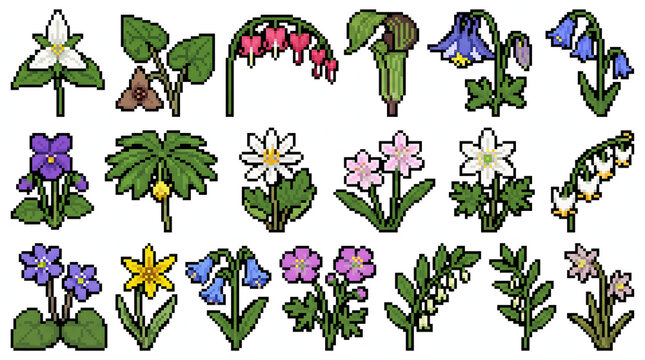 Set of various colorful spring woodland wildflowers in retro pixel art style for gaming assets