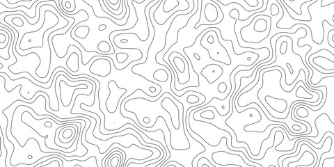 Fototapeta premium Modern topographic line art background, abstract detailed elevation lines with organic curves, for brochure, cover and digital design.