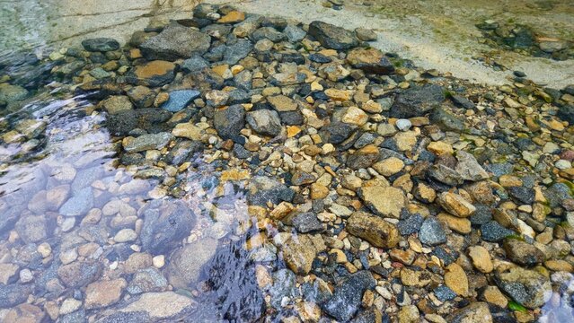 Clear shallow water flowing over rocky stream bed with pebbles and stones.