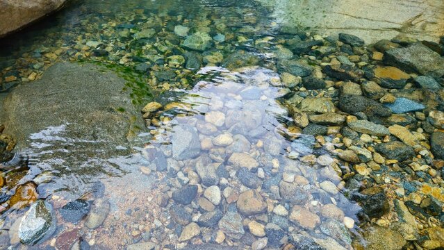Clear shallow water flowing over rocky stream bed with pebbles and stones.