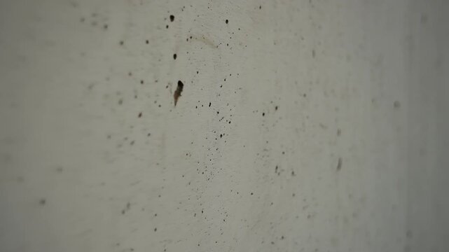 Slow horizontal camera pan from left to right across a white travertine stone wall highlighting its natural texture, pores, and surface detail.