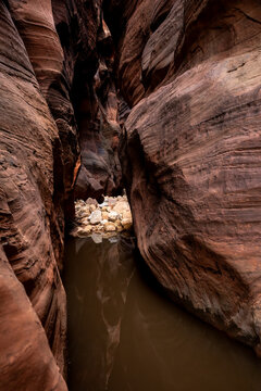 Rocky Bank And Puddle In Buckskin Gulch