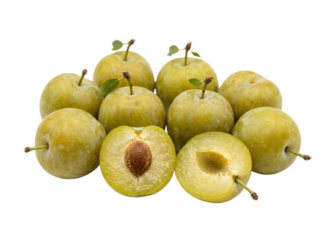 Fresh ripe greengage plums isolated on white. Whole and sliced green fruit for healthy diet.