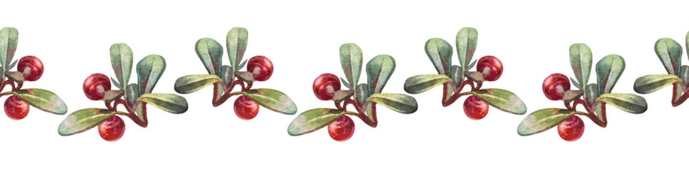 Watercolor seamless border with hand-drawn red berry lingonberry with green leaves on white background. Autumn summer food in forest. Sour sweet food with vitamin for kitchen. Wallpaper or wrapping