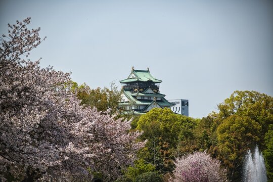 Osaka Casle