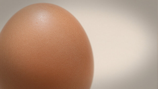 smooth brown egg curve on neutral gradient background