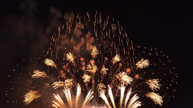 Bright fireworks exploding in a dark night sky