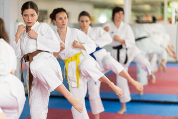 Fototapeta premium Group of women in kimonos train karate techniques in studio