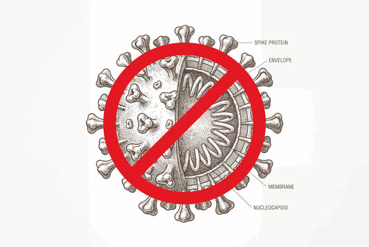 Coronavirus anatomy diagram with a red prohibition sign, vintage scientific illustration.
