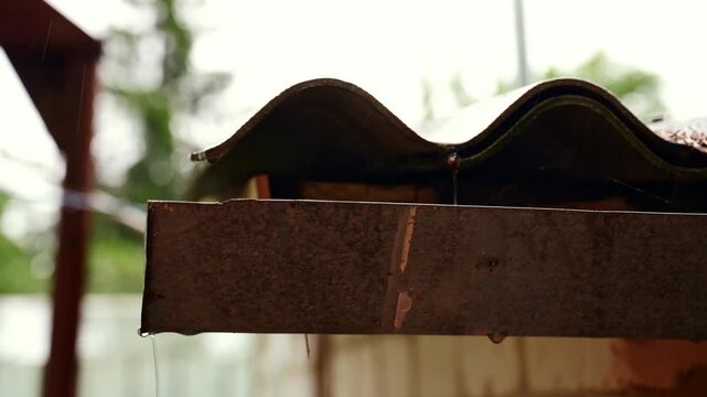 Rainwater flows from a roof gutter and drainage system. Outdoor home environment with garden vegetation and green foliage in the blurred background. Metal roofing components and a storage container