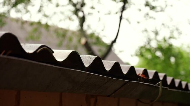 Rainwater flows from a roof gutter and drainage system. Outdoor home environment with garden vegetation and green foliage in the blurred background. Metal roofing components and a storage container
