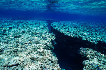 Underwater View of Coral Reef Cliffs and Deep Blue Crevice © Satoshi