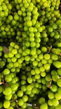 green peas background