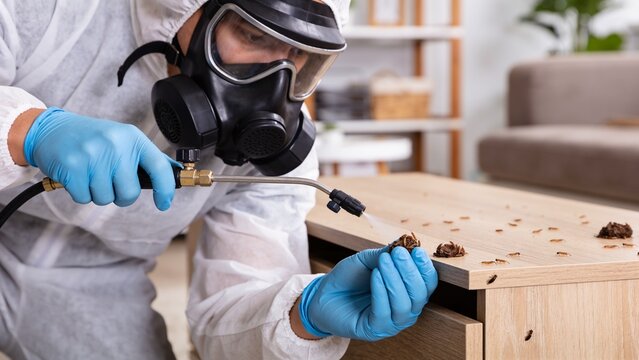 A pest control worker wearing protective gear uses a sprayer to treat termite infestation on a desk.
