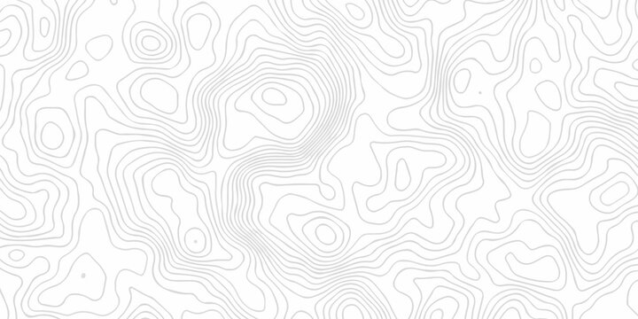 abstract curve white spiral line topography paper elegant elevation map cartographic line design. Topography and geography map grid abstract wallpaper.