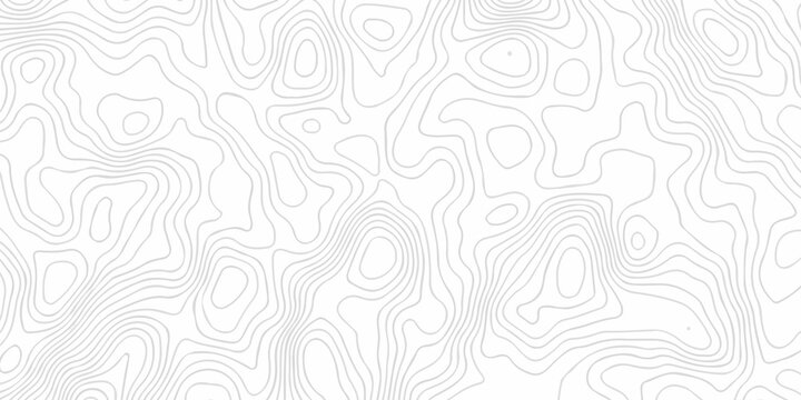 abstract curve white spiral line topography paper elegant elevation map cartographic line design. Topography and geography map grid abstract wallpaper.