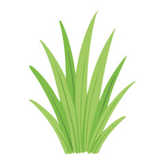 Obraz premium Grass Leaves Plant Nature Illustration