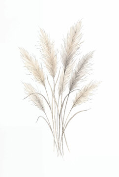  Dried Feather Grass Cluster.svg