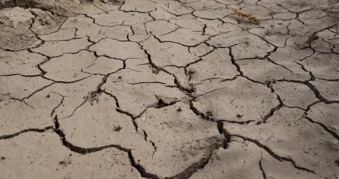 Dry cracked soil background texture closeup, arid ground with deep mud cracks on agriculture land during climate change