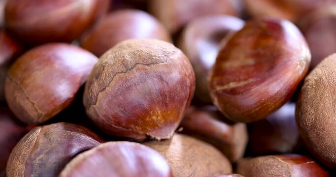 Brown chestnuts in a bowl, ripe edible chestnuts with glossy skins lie in a wooden bowl on the surface of an old dark table.