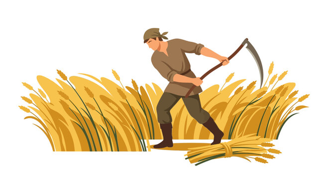 Young peasant man swinging traditional scythe to harvest golden wheat in agricultural field flat vector illustration.
