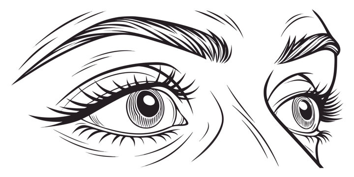 Black and white line of two human eyes looking to the side, featuring detailed eyelashes and eyebrows, isolated on white background