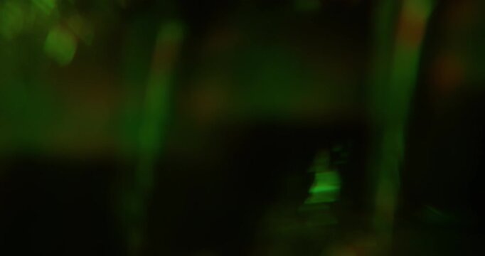 Blur kaleidoscope flare. Illuminated light texture. Green yellow orange colorful glisten rainbow reflection on abstract black bokeh art background.