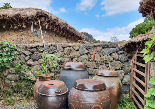 Traditional Korean Earthenware Jars Jangdokdae under Basalt Stone Wall of Thatched House