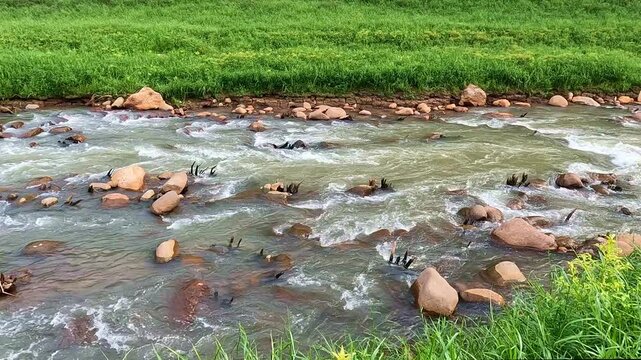View from the riverbank of a swift stream flowing over rocks at Khun Dan Prakan Chon Dam in Nakhon Nayok, Thailand