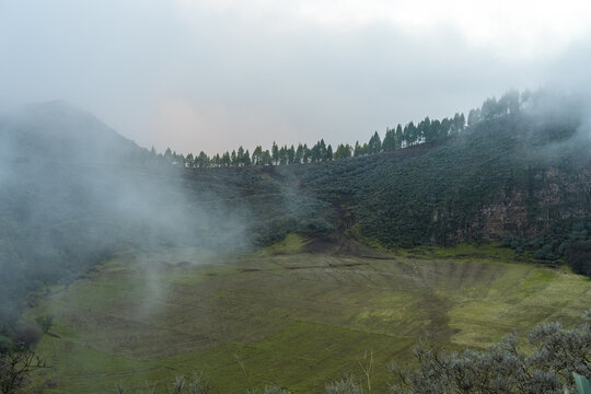 View of the volcanic crater of Caldera de los Marteles with a green grassy floor and pine trees along the rim under a misty sky in Las Palmas, Canarias, Spain.