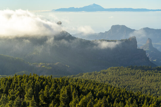 View of Pico de las Nieves surrounded by pine forests and rolling mountains under a cloudy sky in Las Palmas, Canary Islands, Spain.