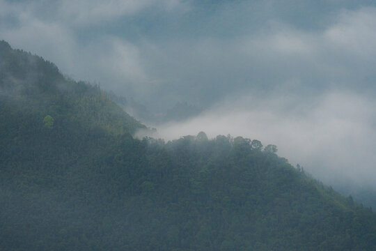 Majestic green mountains covered by flowing white clouds in Y Ty, Lao Cai province, Vietnam