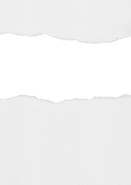 Torn paper edge with transparent background for design elements